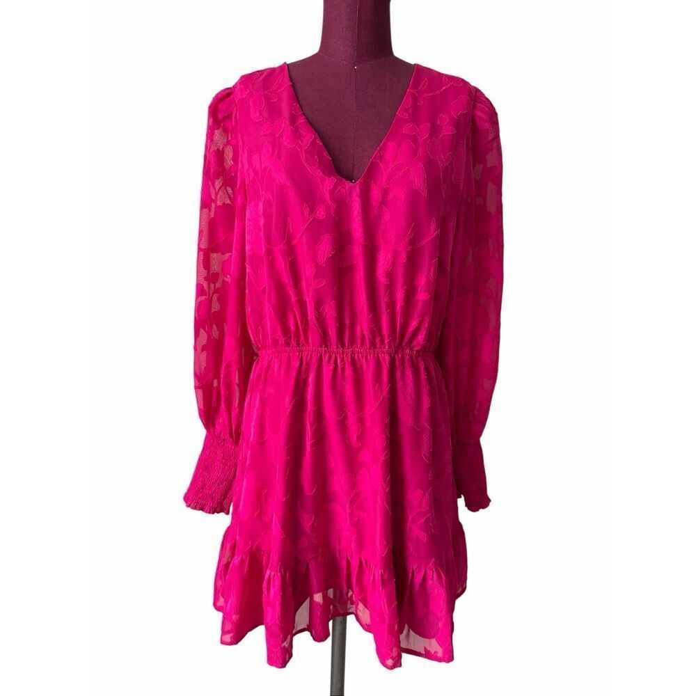 Evereve Mini Dress V Neck Long Sleeve Floral Fit and Flare Pink Fuchsia size Lar - Picture 3 of 13